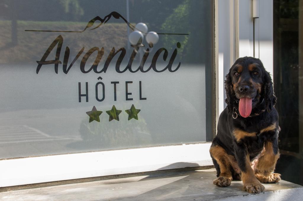 Cit'Hotel Avantici Gap Ngoại thất bức ảnh